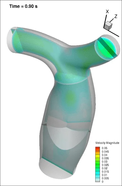 Cardiovascular biofluid-dynamics simulation