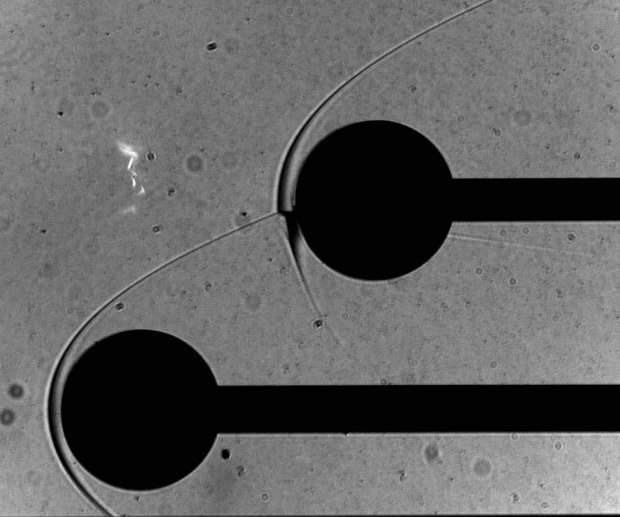 Experimental greyscale flow visualisation of interacting shocks around two offset spherical bodies